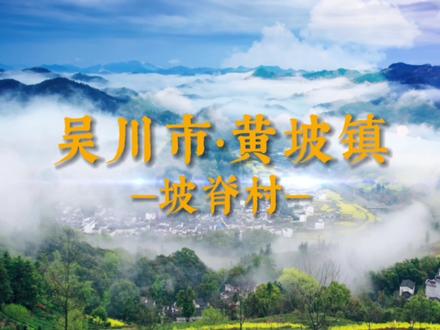 吴川村庄航拍:黄坡镇坡脊村,梁姓,人口2000余人。#家乡 #家乡的变化 #吴川 #航拍 #梁氏家族