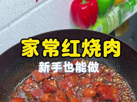 被一百多万人围观的红烧肉,今天来个详细版零失败的教程 #红烧肉 #家庭版秘制红烧肉 #家庭版红烧肉的做法 #这样做红烧肉更好吃 #零失败红烧肉