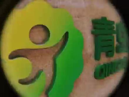 带你走进智慧树,云探幼儿园