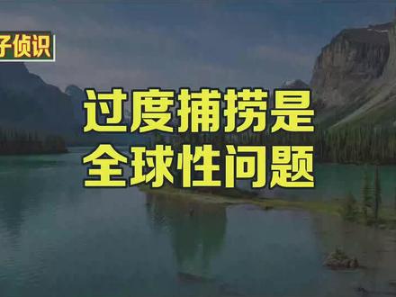 过度捕捞是全球性问题