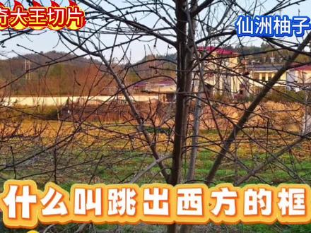 牢A:为了不走西方老路,我们要跳出西方那一套价值体系!
#牢A #美国 #价值体系