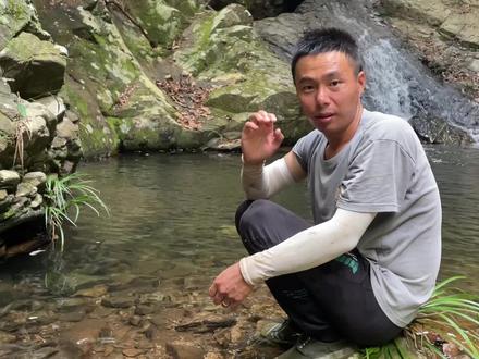 捉山螃蟹用这招最管用,拿免费的鸡肠子当诱饵,螃蟹轻松到手 #山螃蟹 #户外美食 #农村生活 #深山 #捉螃蟹