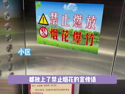 到底弘扬传统文化还是败给了环保与安全啊#湖南烟花 #湖南 #春节 #炮竹 #环境