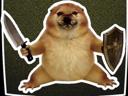 别再玩刀盾狗特效了!猫狗的反应真的太鞋门了 #狗刀 #滚刀狂魔狗 #刀盾狗 #猫咪的迷惑行为 #猫咪