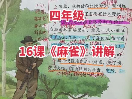 四年级16课《麻雀》讲解,晚七点直播!#学浪计划 #教育成长计划 #作品推广 #我要上热门 @DOU+小助手