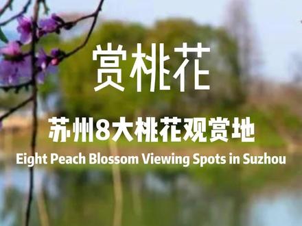 苏州8大桃花观赏地 #苏州旅游 #苏州旅游攻略