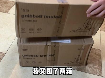 木屑和刨花到底哪个好#金丝熊 #仓鼠 #新手养仓鼠指南