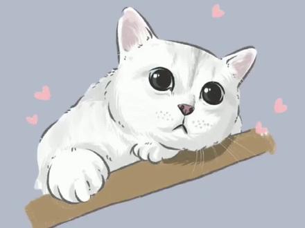 🤔半驯化的喵喵祖先原来是↑牠!#猫科动物 #萌宠 #动物保护 #宠物百科