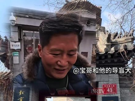 探访正阳书局“打狗猫”:凶萌大名背后的温柔真相