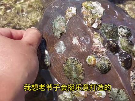 崩之黑暗17 #崩铁 #崩铁同人 #爽文 #爆款 #男生必看