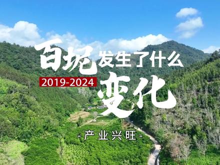 百坭发生了什么变化——产业兴旺#黄文秀一直在 #黄文秀 #黄文秀时代楷模 #百坭蜕变