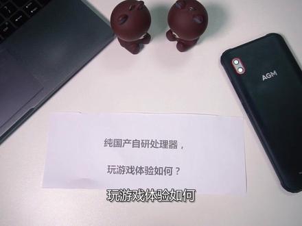 纯国产自研处理器,能带得动游戏吗?#王者荣耀 #和平精英
