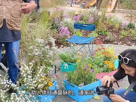 药食同源的花园植物——藁本。
#自然教育 #花园植物 #药食同源 #园艺 #花境