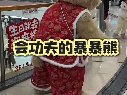 浑身都是戏的暴暴熊,稀罕死我了!#网红暴暴熊#动物的迷惑行为