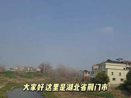 京山市永隆镇的乡村街集#京山 #古村落风景 #农村生活