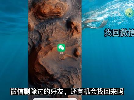 微信好友删除怎么找回 搜索微信号显示用户不存在如何加回来 恢复误删除的好友 #找回微信好友 #找回微信删除好友