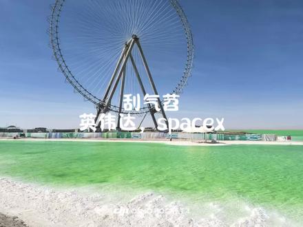 英伟达1季报,spacex #刮气苕 #宏观经济