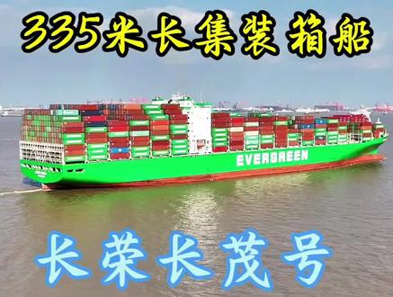 335米长集装箱船,长荣海运长茂号#船舶 #海运集装箱