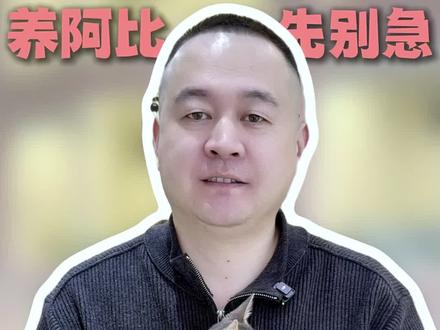 养阿比西尼亚猫一定要注意这三件事 #阿比 #阿比西尼亚猫 #阿比西尼亚 #养猫新手 #阿比西尼亚猫法老