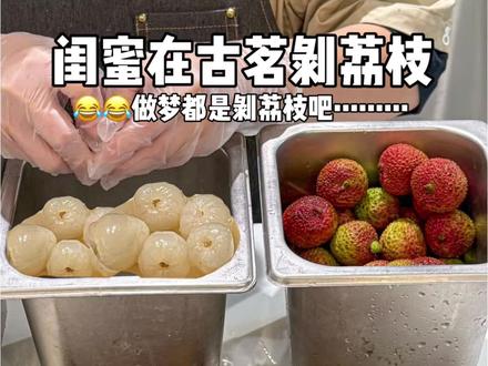 拜见古茗荔枝大王!