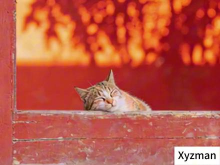 温通小肠·清心降浊|饭后胀、小腹凉、吸收差、消化不良多听 饭后小腹闷胀、食物沉滞不化?午睡躺下午休却总也静不下来?不是吃多了、也不是睡不着,是小肠未醒、气机不降!用古朴沉静的古琴曲,小音量轻放,边午睡边唤醒肠腑、通调三焦,听着听着,睡得安稳,消化也悄悄顺畅了~
—— 选自「十二时辰・应律养生乐」之未时 小肠调理篇 ——
本期音乐调理核心逻辑:
未时·受盛|三焦通调・清浊初分
编排重点:火主土辅,整体旋律沉稳舒展,灵动平衡。构建“上宣中温下化”之序,助小肠阳气温和苏醒。
五行选曲:《神人畅》通达|《南方畅》舒展|《大雅》端庄|《渔歌》下调|《归去来兮》回归|《悟》静定
增效音景:谷物研磨 + 温泉冒泡
💡 小肠为受盛之官,未时当令,火气连绵,此时宜温通启运
顺时听·13:00-13:30:唤醒小肠,温和启动“受盛化物”,促进清浊分流
日常听·调养小肠:改善吸收差、饭后腹胀;
午睡听·安神助眠:古琴曲舒缓平稳,助身心深度放松。
注:本阶段正值午休时段,所选古琴曲音色低沉内敛、余韵绵长,小音量聆听不易扰心神,可一边午睡静养,助阳入阴、通调三焦,休息消化两不误~
出现以下困扰时请多听——
✅午饭后腹胀,感觉食物堵着不消化(小肠受盛无力)
✅腹部容易胀气,咕噜响(气机不畅,蠕动失调)
✅午餐后容易反酸、打嗝(胃气不降,受纳不利)
✅午后头沉如裹,昏昏欲睡却睡不踏实(清浊不分,清阳不升)
✅吃完就累、精神涣散,像没充电一样(水谷不化,精气不生)
✅吸收差,怎么吃都不长肉(化物功能弱,精微不布)
✅腹部发凉,喜温喜按(小肠火弱,温煦不足)
✅大便稀溏或黏腻,夹杂未消化食物(分清泌浊失职)
✅饭后容易拉肚子,或小便浑浊(清浊不分,水液代谢失常)
✅下午肩颈酸痛僵硬(小肠经气不利)
🌿 小贴士:
如果你是从「电子中药·五行体质调理乐」系列而来,
那么这些体质问题与本段时辰养生乐高度协同——
可交替听、组合听、节律+体质双轨调养,双向赋能。
主要对应体质:
✅ 阳虚质(小肠虚寒 → 小腹冷痛、喜温喜按、大便稀溏)
✅ 气虚质(受盛无力 → 饭后腹胀、吸收差、容易疲劳)
✅ 痰湿质(清浊不分 → 大便黏腻、身体困重、小便浑浊)
次要关联:
✅ 脾虚湿困(运化失职 → 便溏、身重、头沉)
✅ 心脾两虚(心气不下注 → 运化迟缓、心悸失眠)
✅ 气郁质(气机不畅 → 腹胀、嗳气、肩颈僵硬)
✅ 平和质
Xyzman・音乐轻养生