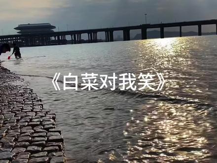 无人照料的小花 也能独自盛开#音乐分享 #白菜对我笑 #戴上耳机 来听汽水设置手机铃声