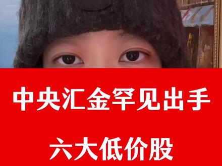中央汇金罕见出手6大低价股 中央汇金罕见出手6大低价股#股 #股民 #股票 #财经 #股民交流