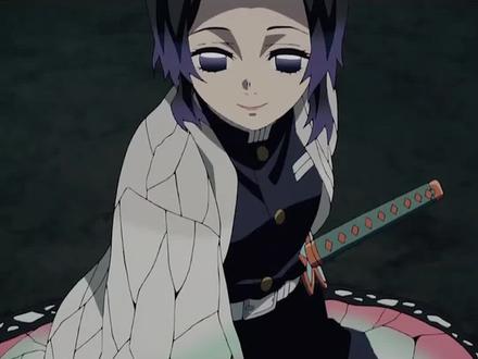 《鬼灭之刃》蝴蝶忍初次登场蝶舞斩恶鬼,炭治郎首次对战下弦鬼!