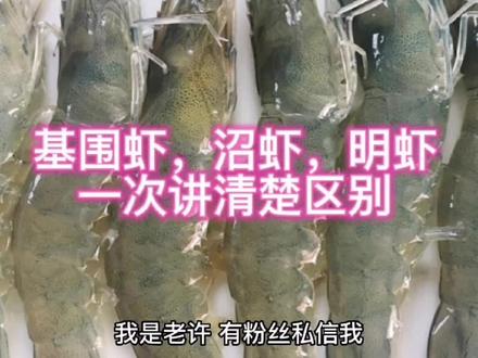 菜场虾的品种太多,不知买那种,我一次给你讲清楚,不会买错了#大虾 #海鲜美食诱惑你 #唯美食不能辜负 #南美白对虾 #海鲜美食 #活虾 #罗氏虾 #美食推荐 #海鲜 #大海的味道