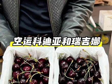 空运科迪亚和瑞吉娜,晚上18:30直播 空运科迪亚和瑞吉娜,晚上18:30直播