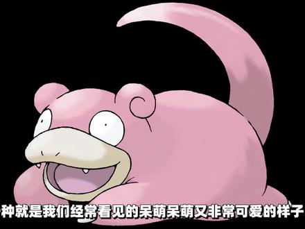 宝可梦剑盾:呆呆王再也不呆了,伽勒尔地区呆呆王来了