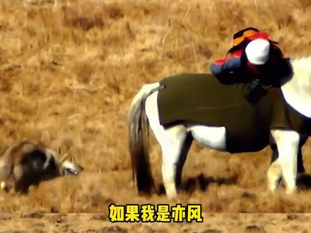 两边都能理解,又怎能不遗憾呢? #李微漪 #亦风 #格林 #重返狼群 #情感