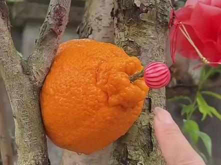 小朋友宝宝都爱看的搞笑视频小朋友都爱看 吃糖果的小朋友搞笑视频#3到6岁儿童益智早教动画#奥特曼儿童动画片#亲子互动#益智动画#0到3岁早教儿歌