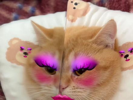 姐姐平时都化这么浓的妆吗#新春萌宠才艺大赏 #万物可爱计划 #抖音新春联欢会 #宝贝年味企划