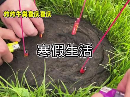 炸个牛粪祝大家新年快乐,炸牛粪我可是认真的哈哈哈新年快乐万事如意!#小星在努力 #春节气氛组已就位 #童年回忆 #过年 #追觅春晚赢麻了