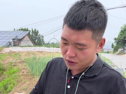 大家一直问我叁色栗栗好不好吃😋,叁色栗栗哪里🈶️货!我给大家搞啦一件看一看!#贝贝南瓜 #叁色栗栗南瓜 #奔跑的水果人