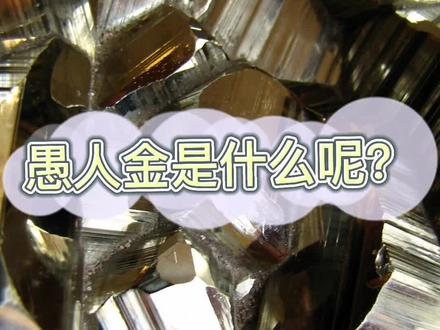 金色小方块就是它!(化石君回来啦) #益童伙伴计划 #寻宝 @抖音小助手 @DOU+小助手 #科普