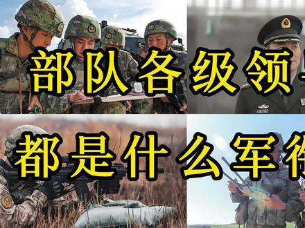 部队各级领导都是什么军衔? #社会百态 #知识分享 #百科知识 #人物故事 #内容启发搜索