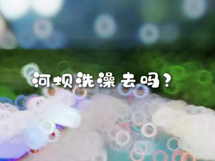 太热了 河坝洗澡去吗? 不要门票的矿泉水。 #清澈见底的水 #贵州吃喝玩乐攻略 #清凉避暑好去处 #贵州玩水好去处推荐