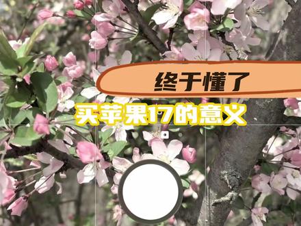 苹果的调色盘完全就是神来的 #iPhone #调色盘 #色彩