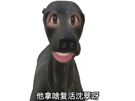 谁说方正爱沈翠了?明明是铁丝城主好吧😝#大爱仙尊 #古月方源