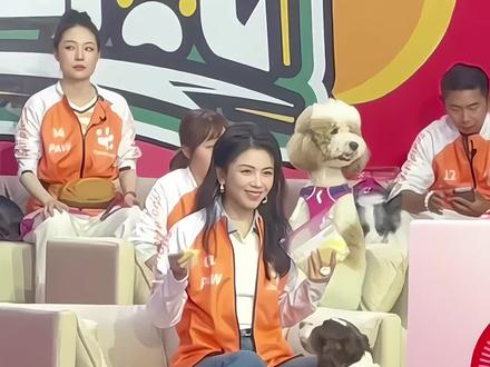 刘涛好喜欢她的狗狗呀 #刘涛 #刘涛妈祖 #刘涛女神