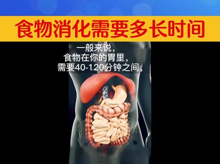 食物的消化需要多长时间#福鼎同禾 #科普 #科普一下