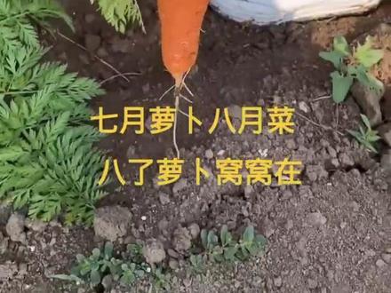 窝窝是什么意思网络语 8458b8ab8e30c58010390aa268892091~tplv-dy-resize-origshort-autoq-75:330.jpeg?x-expires=2006215200&x-signature=zRdmTgZck0l2vT1JMNnr%2FYXyvAU%3D&from=3213915784&s=PackSourceEnum_AWEME_DETAIL&se=false&sc=cover&biz_tag=pcweb_cover&l=20230801102633FD2A86F59417B56ECD49
