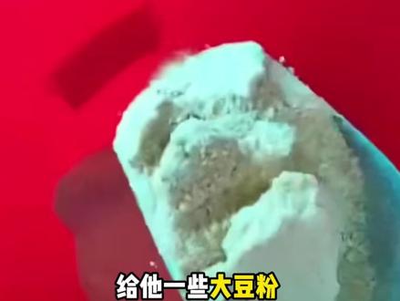 315快到了,3招带你鉴别劣质狗粮#狗粮 #毒狗粮 #避雷 #315 #狗粮避雷