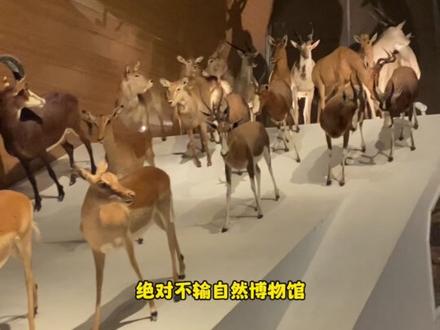 天津溜娃好去处,国家海洋博物馆,超详细攻略来啦!#旅游攻略 #vlog日常 #亲子游玩好去处 #值得一去的博物馆 #国家海洋博物馆 @DOU+上热门