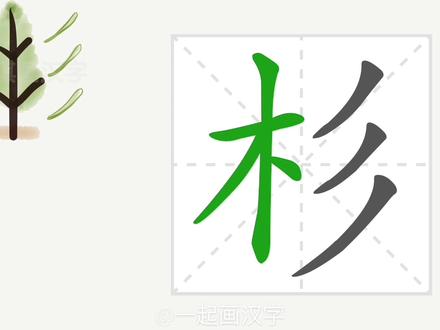 “杉”字为什么是木+彡?#趣味识字#水杉#学前启蒙#科普知识#萌知计划#抖来涨知识@抖音青少年