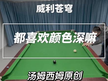 给客户挑选的威利苍穹。威利球杆#台球器材 #台球杆
