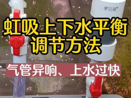 鱼缸免打孔虹吸底滤上下水平衡调节方法 #鱼缸过滤 #虹吸排水 #虹吸底滤 #鱼缸过滤 #底滤
