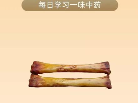 全网最?最全牙骨角干货来啦!为什么会有中医有大猫骨入药?它究竟有何妙用?又为什么现在却禁止了呢,我是牙骨阁,深耕牙骨角行业20余年,别人不敢说的真话,我来说;别人不敢揭的黑幕,我来揭!关注我,下回给你们唠点更干的、圈内不传的干货!(本视频无任何不良引导,保护野生动物人人有责)#牙骨角 #牙骨角文玩 #中医 #鉴定 #科普